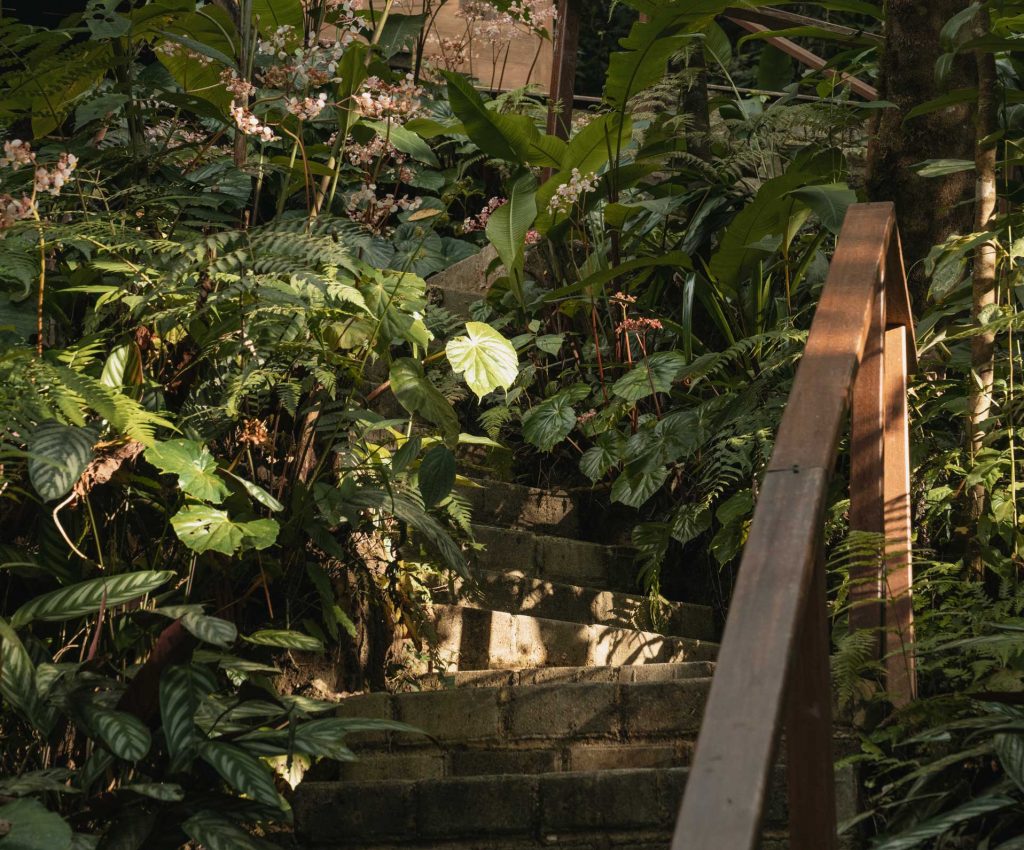 Terramia-Estate-Nature